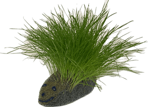 sock made into a hedgehog with grass growing out of it's back for spines.