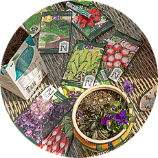 seed packets and plants scattered across a table