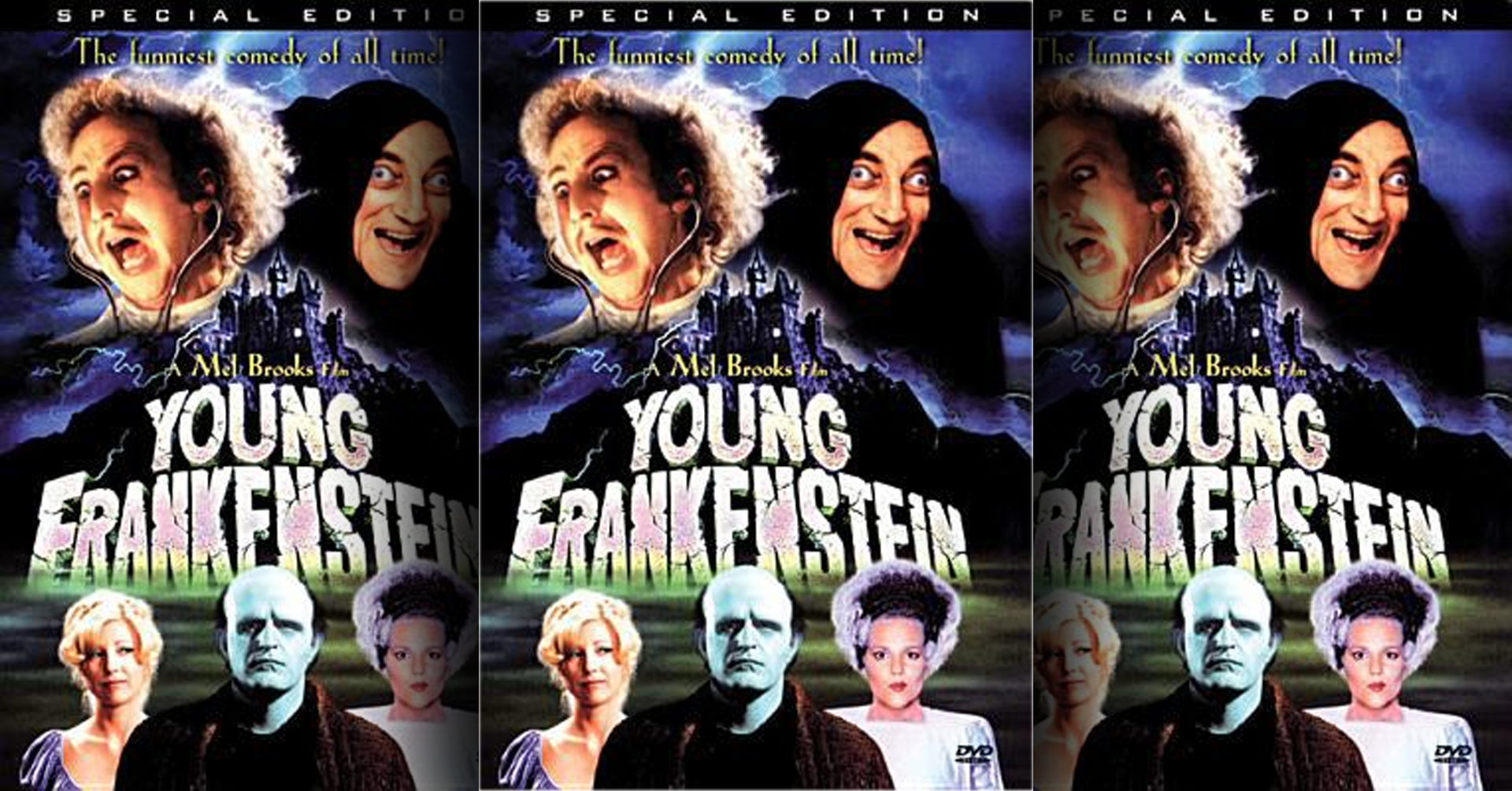 Young Frankenstein movie cover