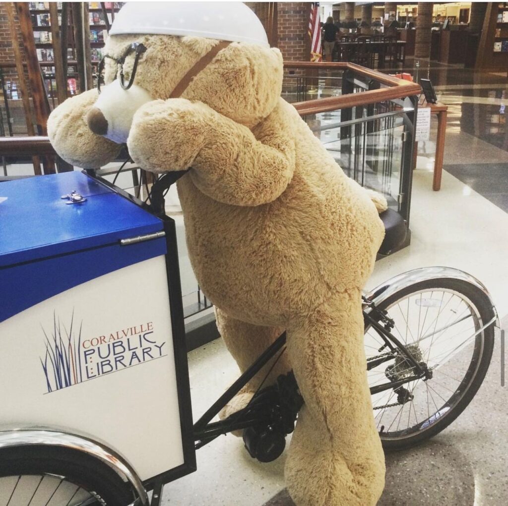 Bear on Book Bike