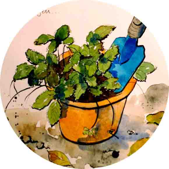 Drawing of a a pot of plants and spade by Anna Wolf from flickr