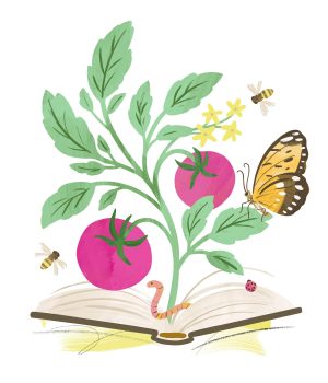 A tomato plant growing out of a book